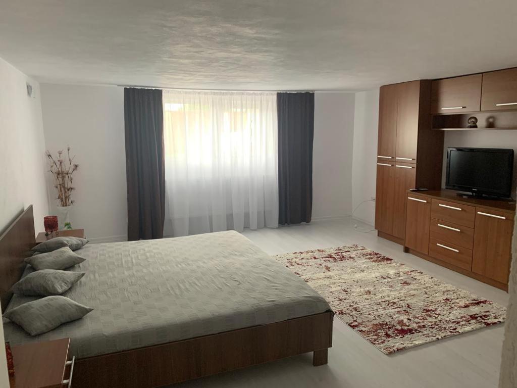 Casa Deac Daire Sebeş Dış mekan fotoğraf